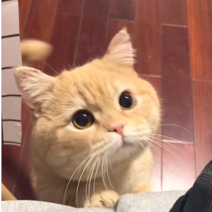 _
