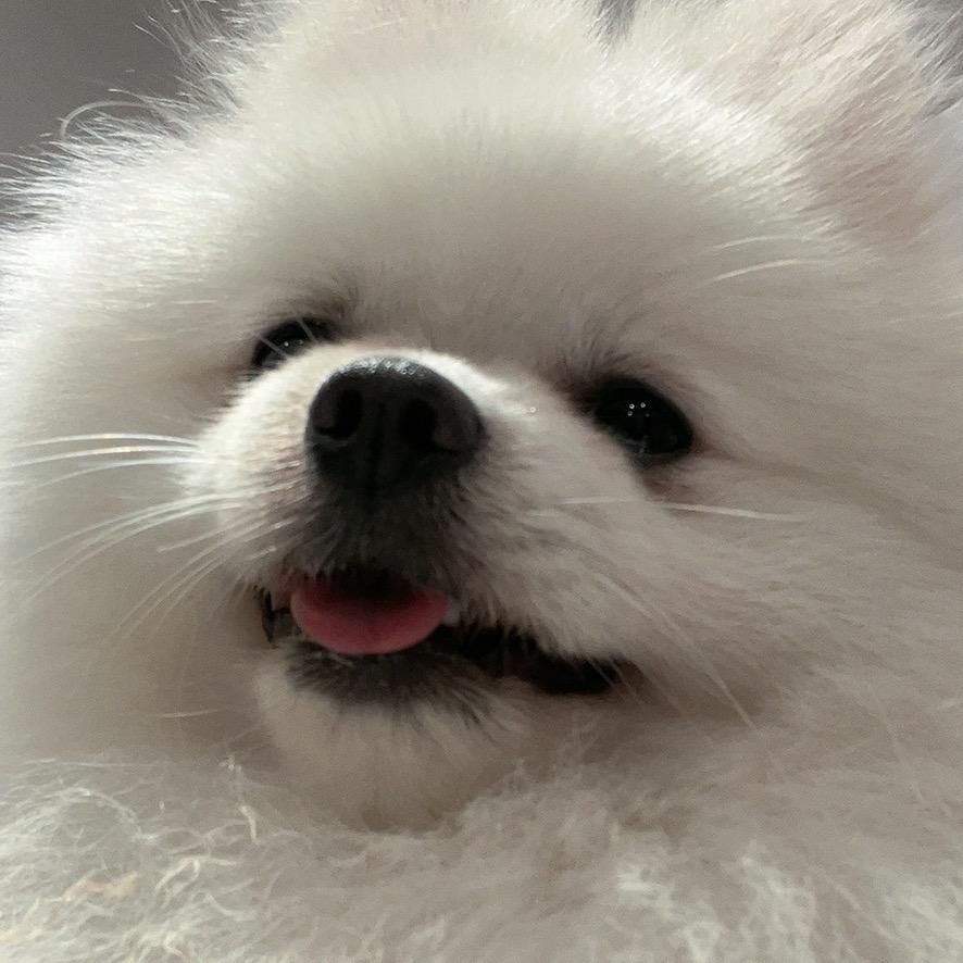 vito