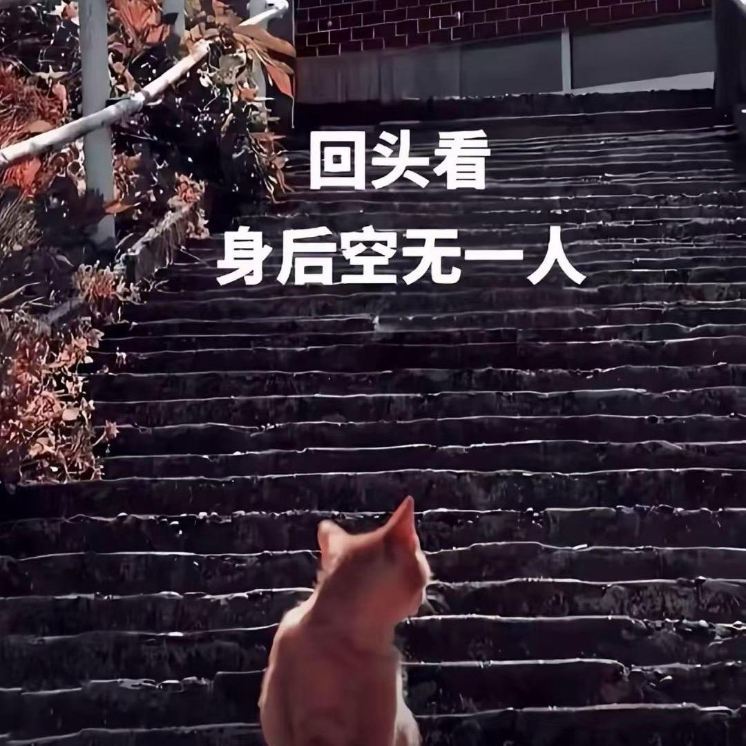 沈小姐