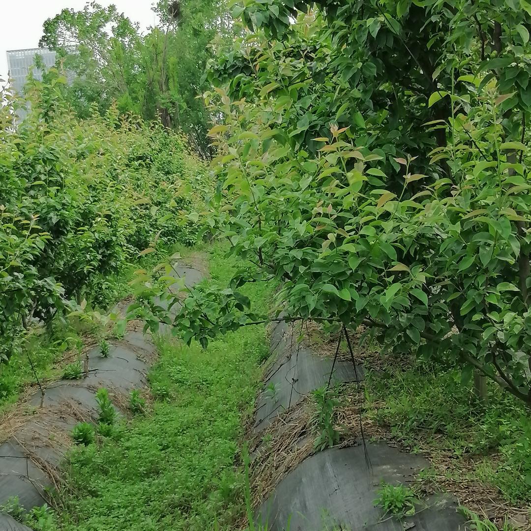 心有阳光