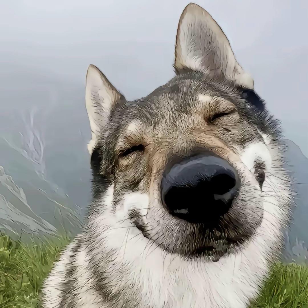 葉
