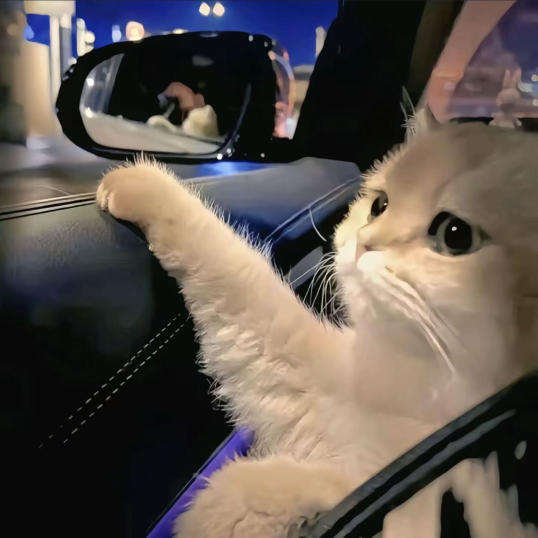 ￴ ￴ ￴￴ ￴