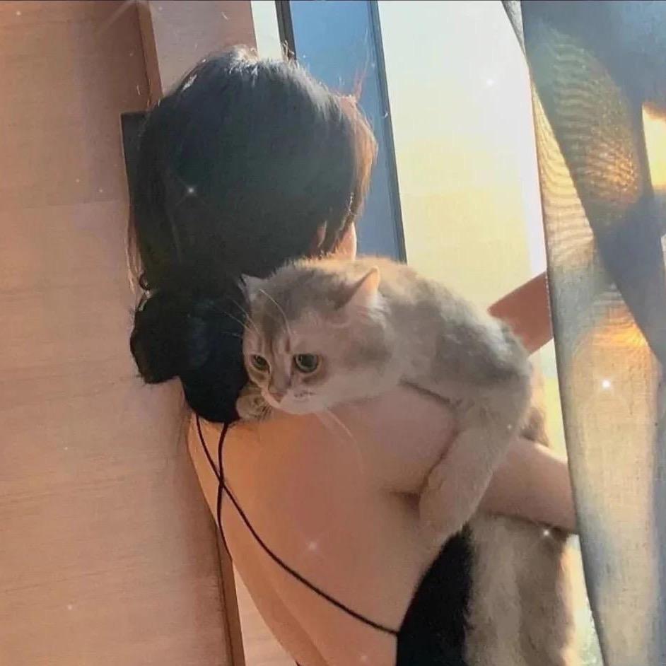 🎀小姐姐