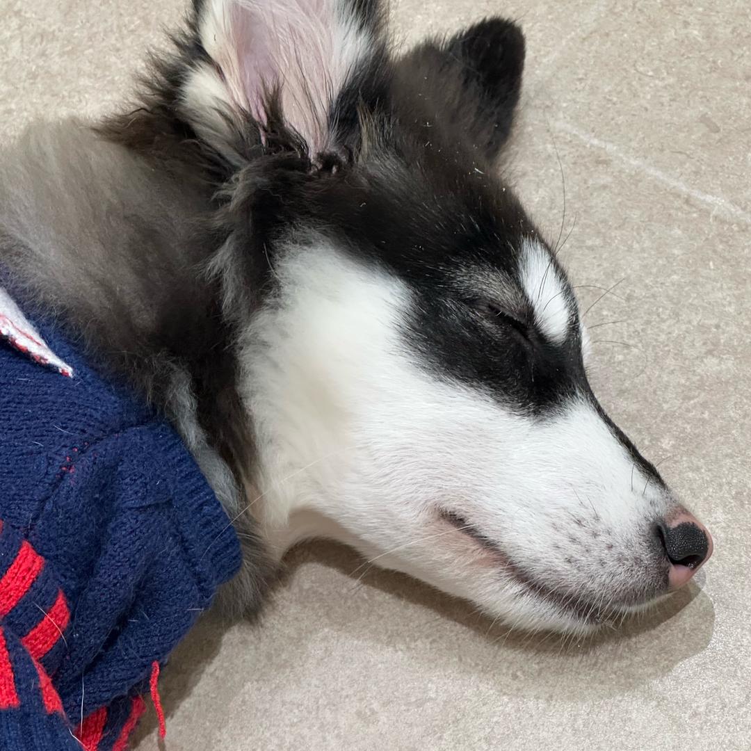 小南南（三刀南）