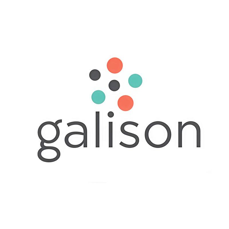 Galison拼图店