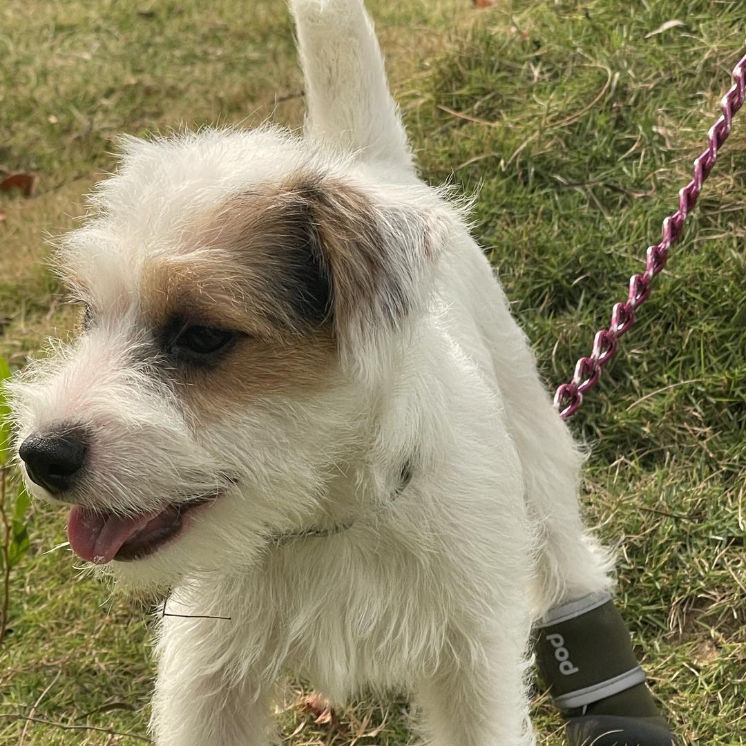 李阳的快乐生活