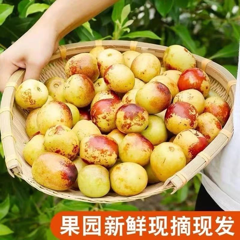美食四季