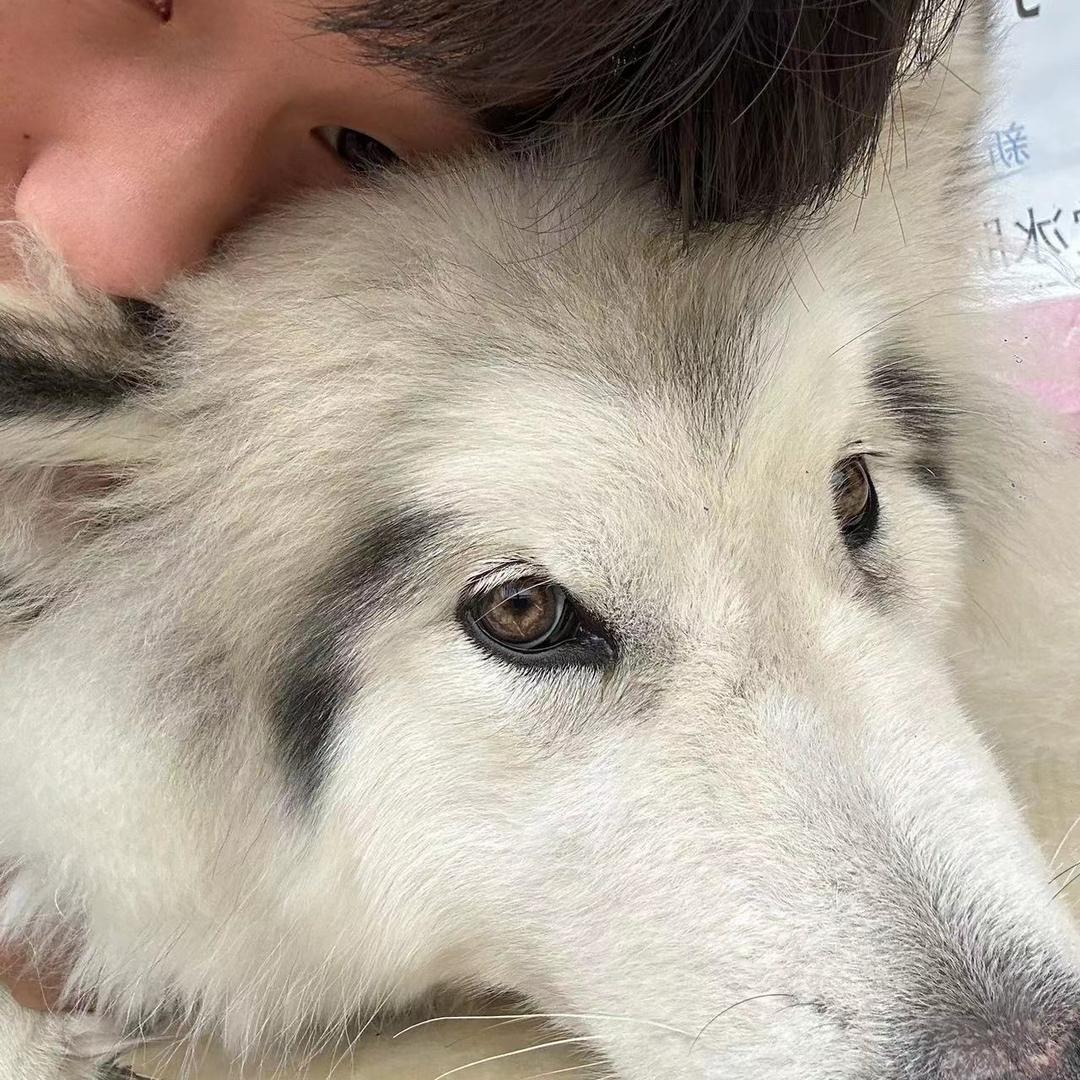 李怕怕