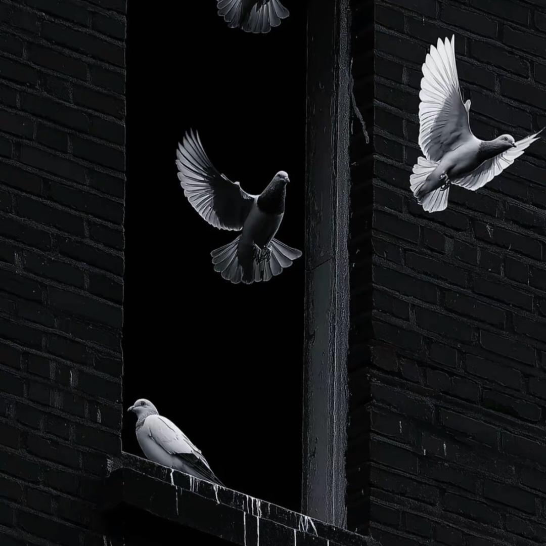 🔞 🌈第 三 者  💘