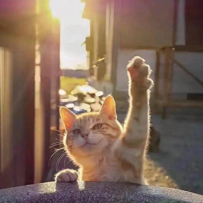 一个不会做菜的诗人