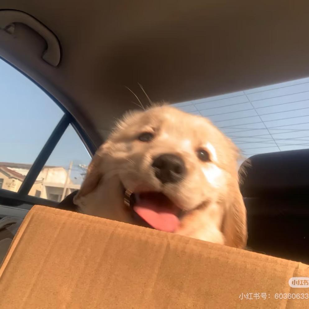 林楷同学(努力学习版)