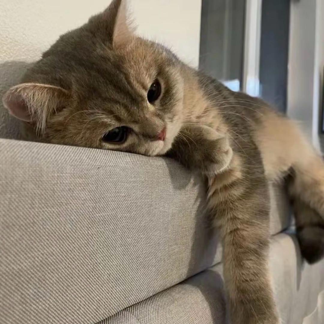 -Hello