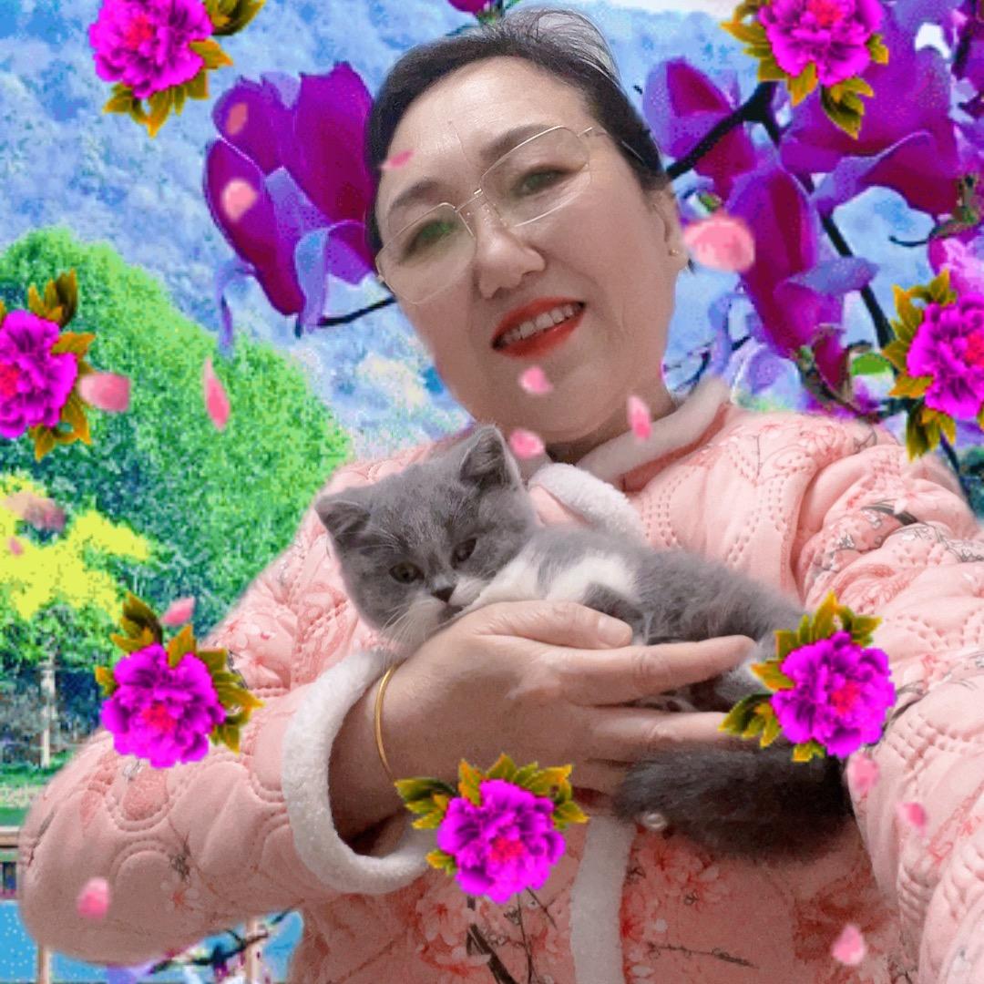 小猫咪