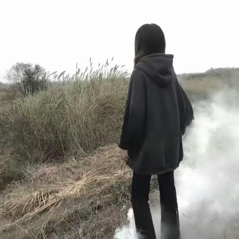 小小毛.