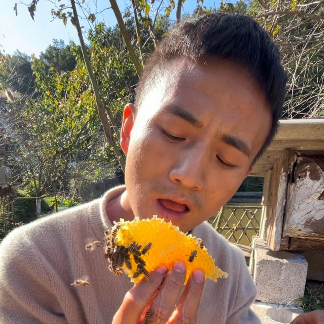 欧阳蜂