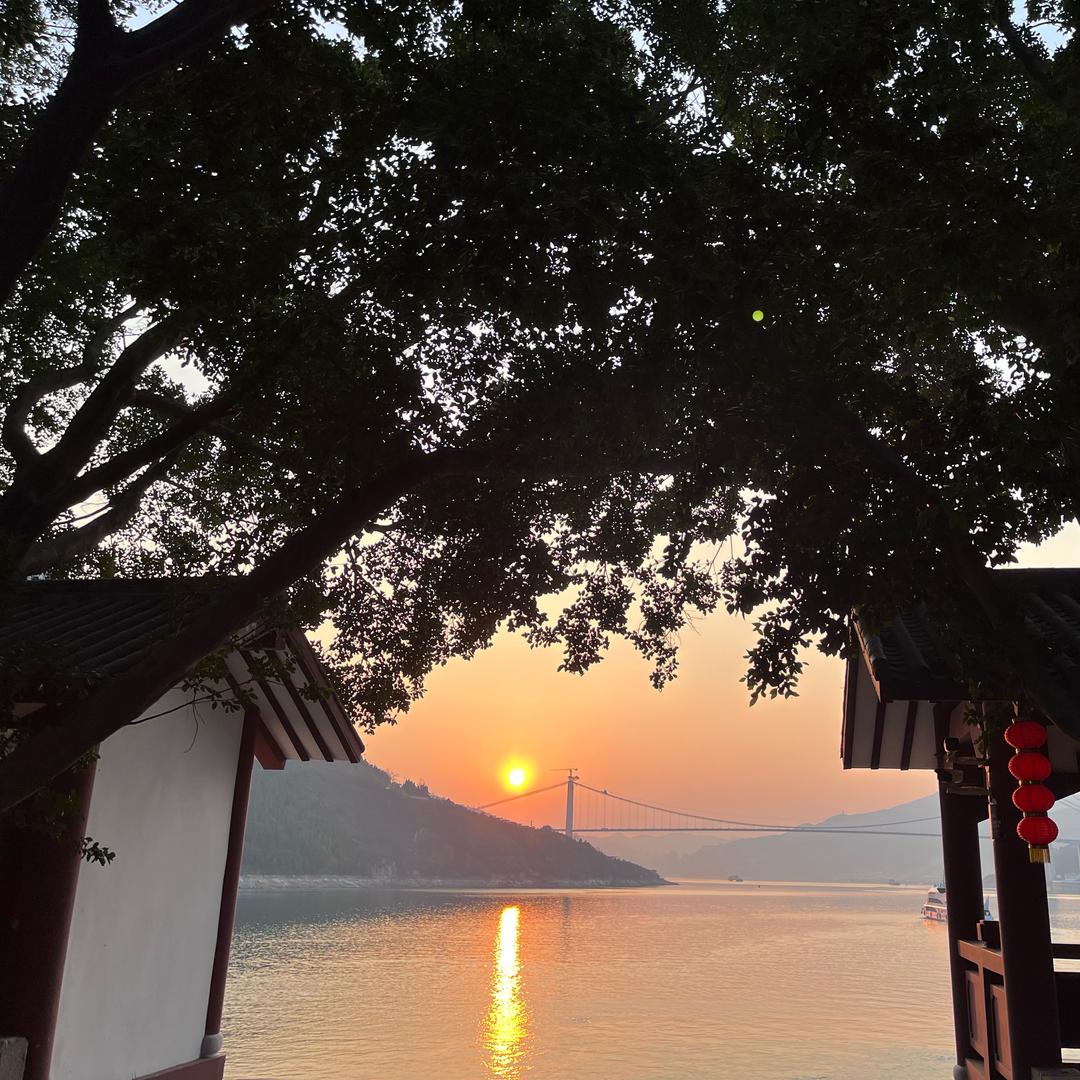 悦己