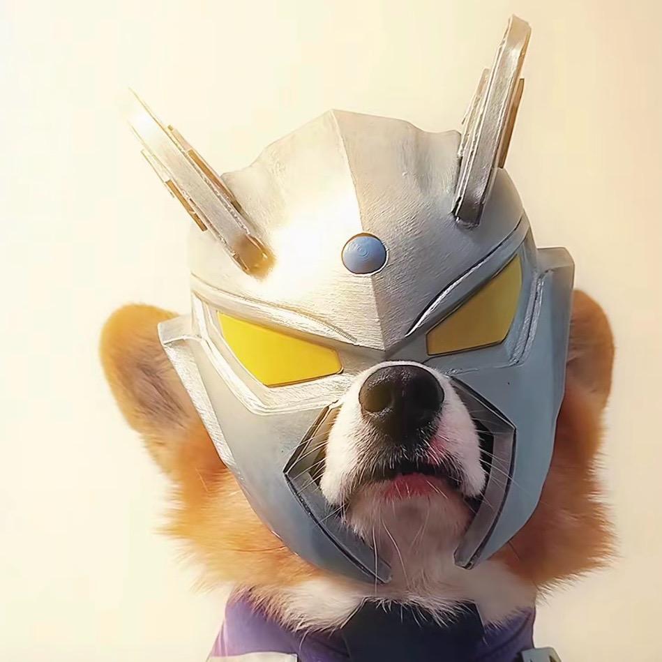 超帅气的赛罗酱