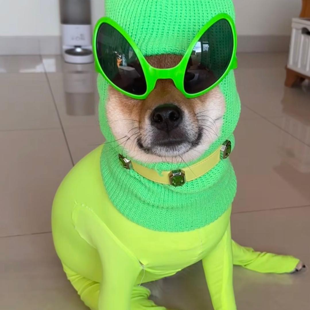 糖小糖