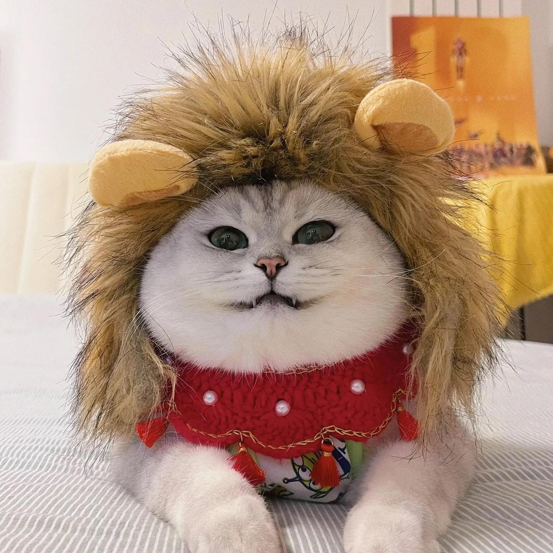 芬儿是个小可爱