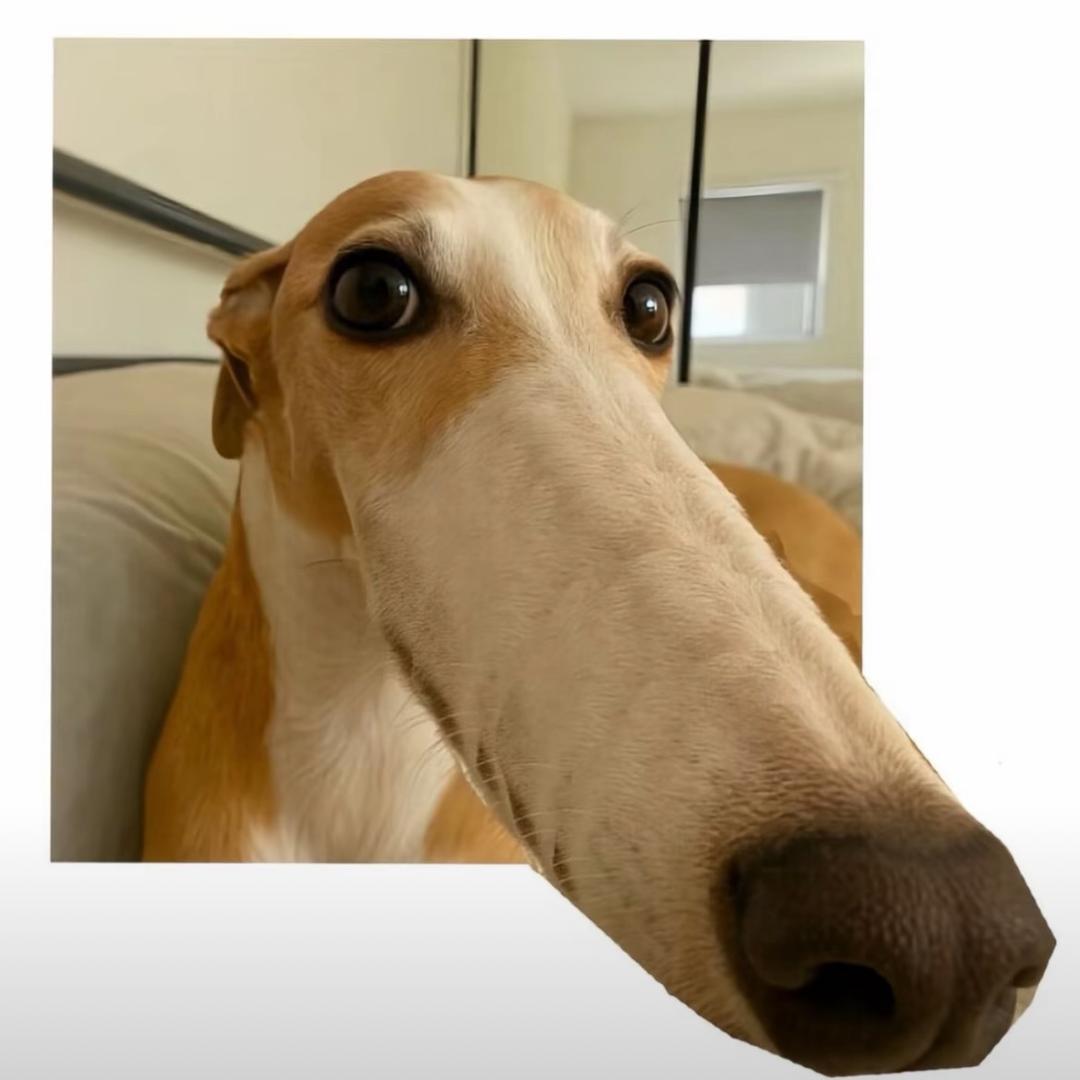 ʚ妙妙ɞ