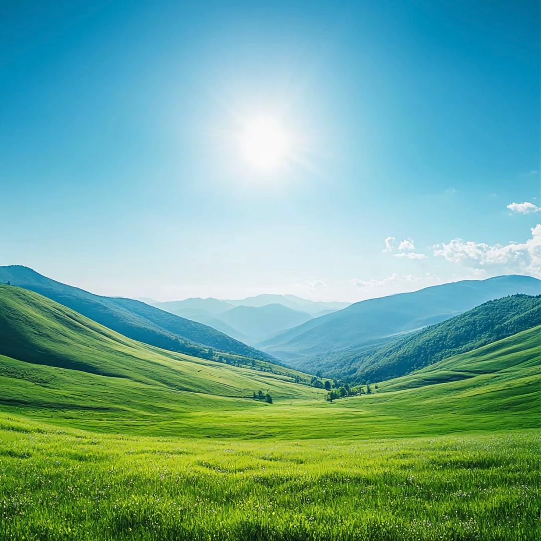 永哥（废品回收）