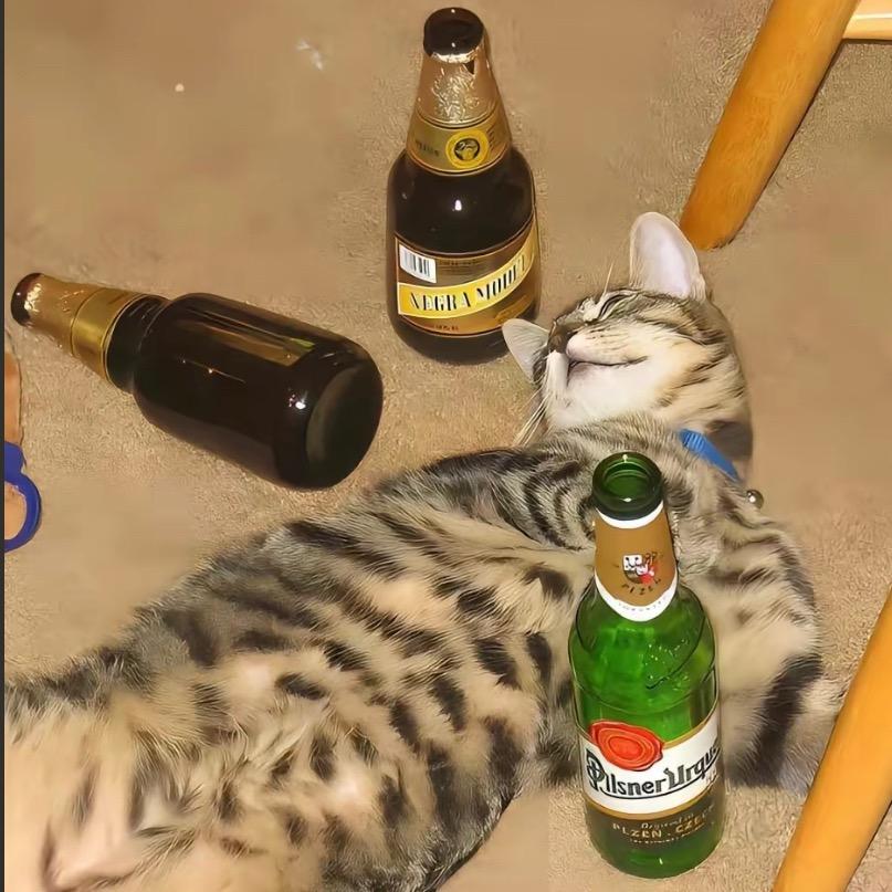 尚尚爱游玩（辉腾锡勒草原）