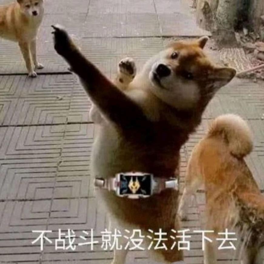 不战斗就无法生存的修勾