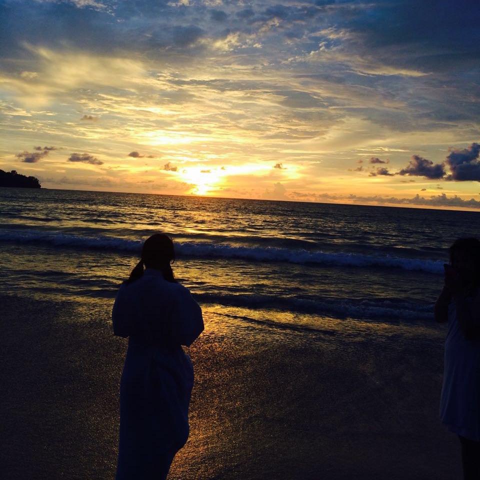 静待花开的小怪兽