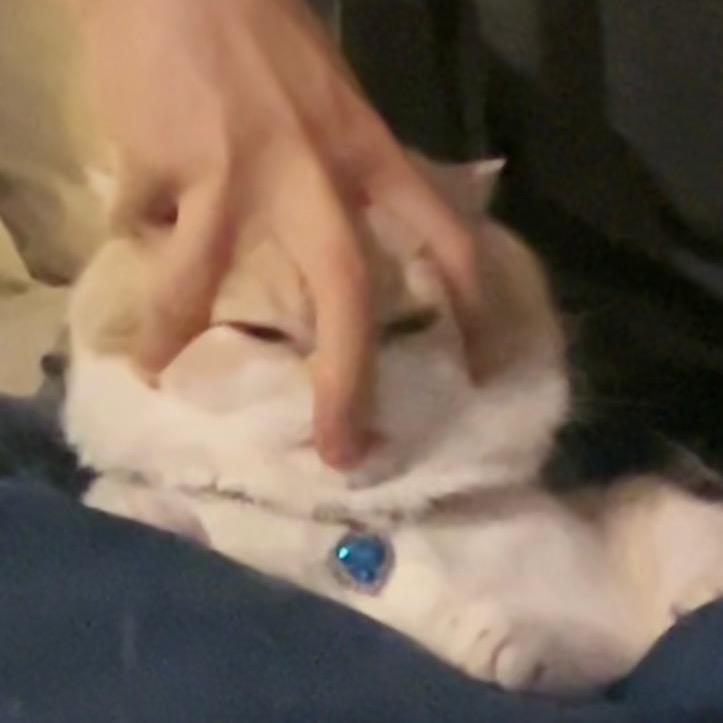 张富贵儿