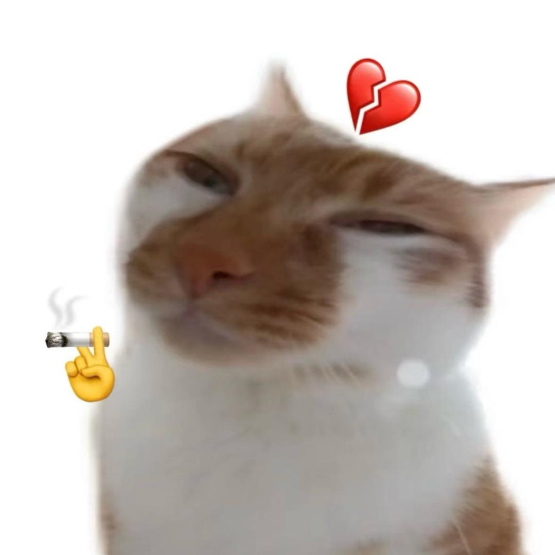 猫meme皮蛋
