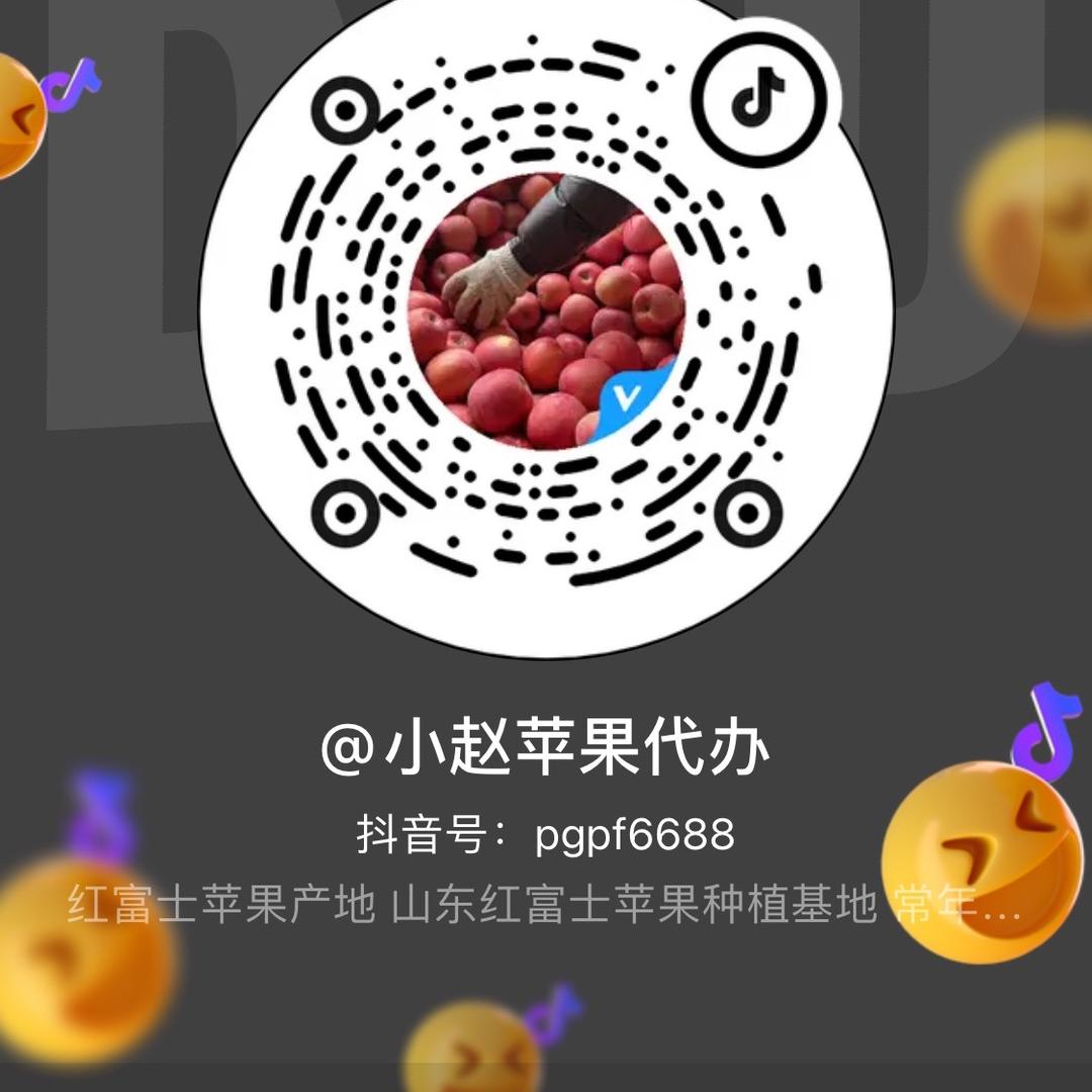 小赵苹果代办