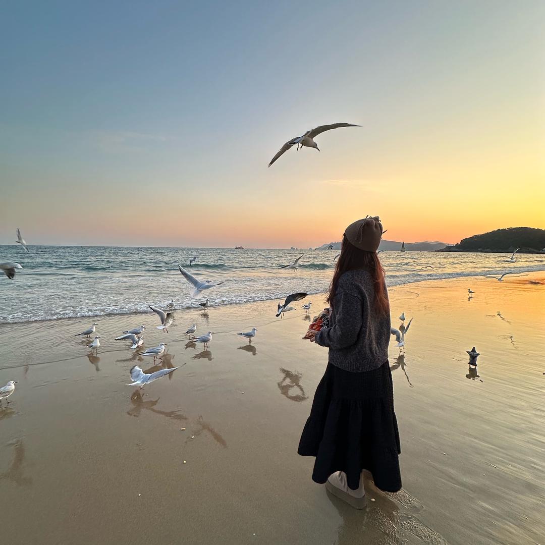 园子很圆（限流版