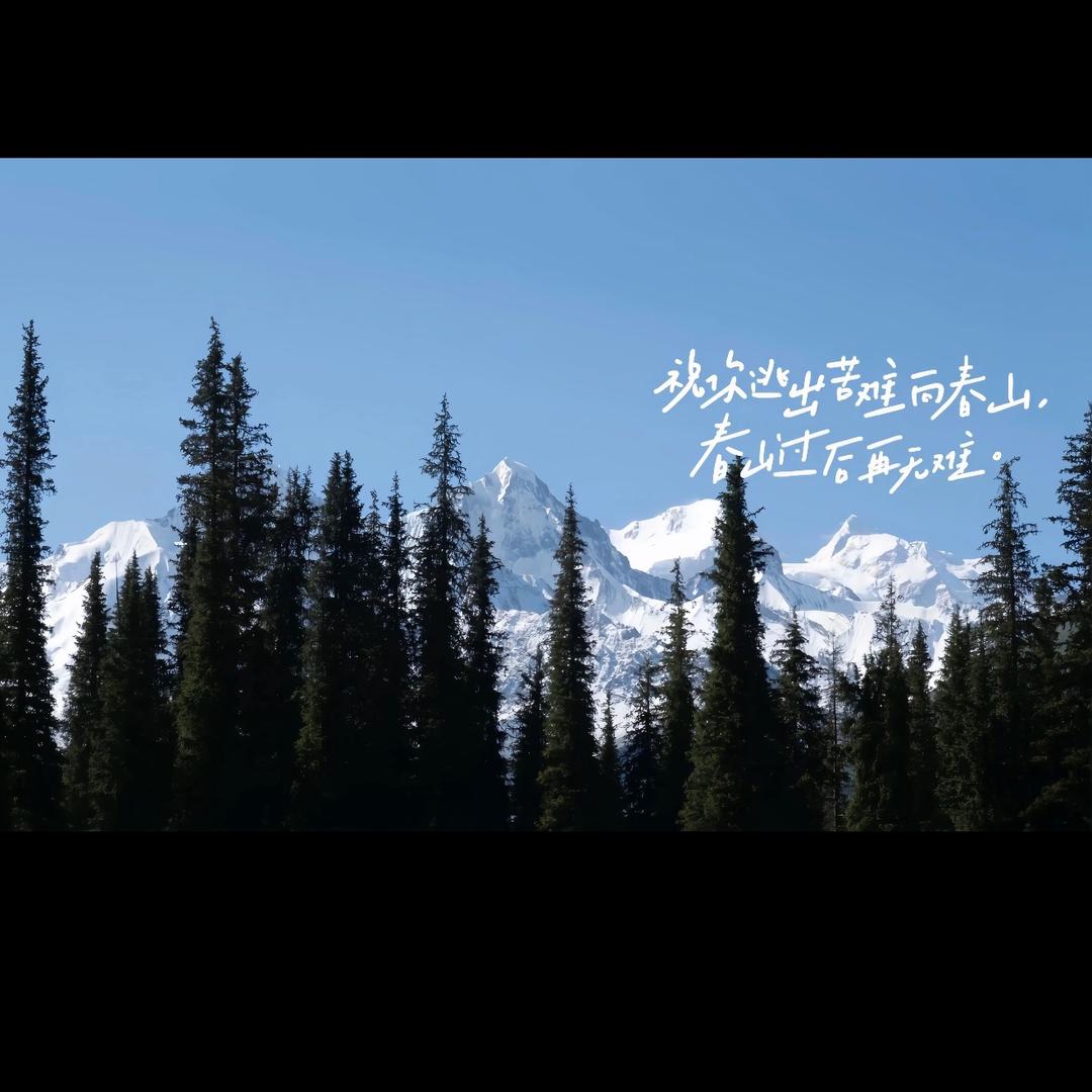 用户8169036639