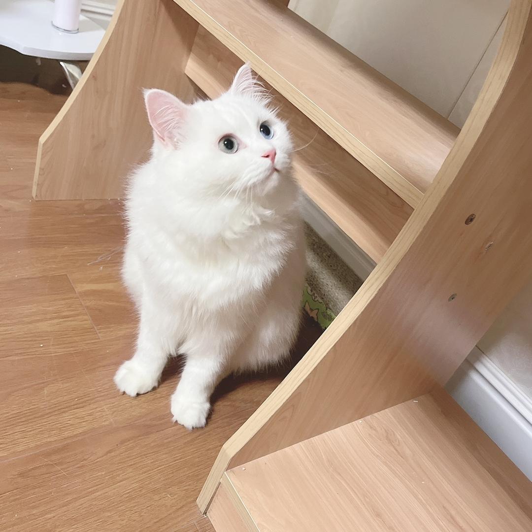 起个啥