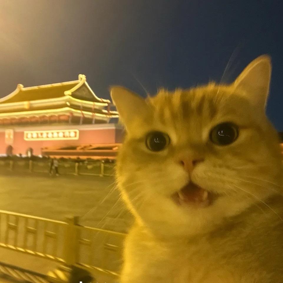 鹿大鹅