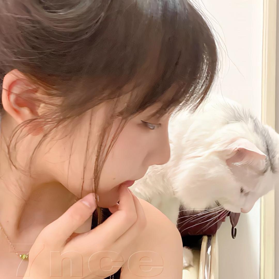 钮祜禄灿