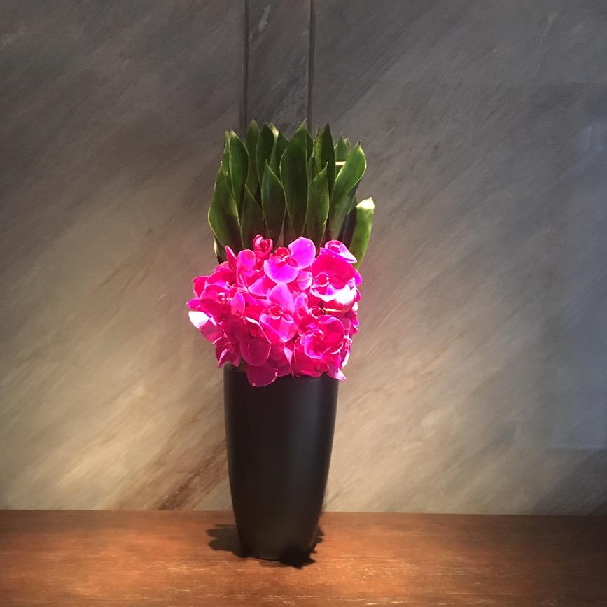 清宁时光🌹