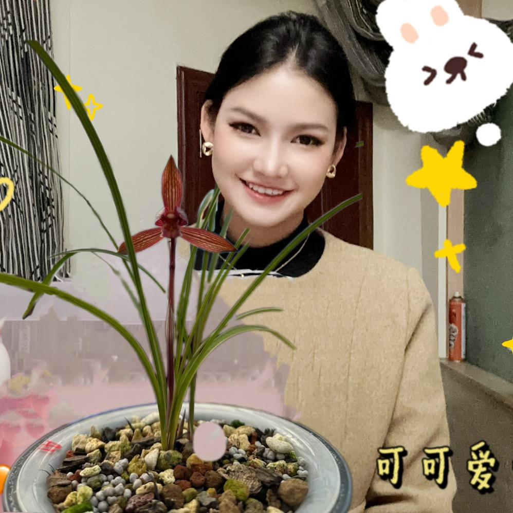 黔兰花苑