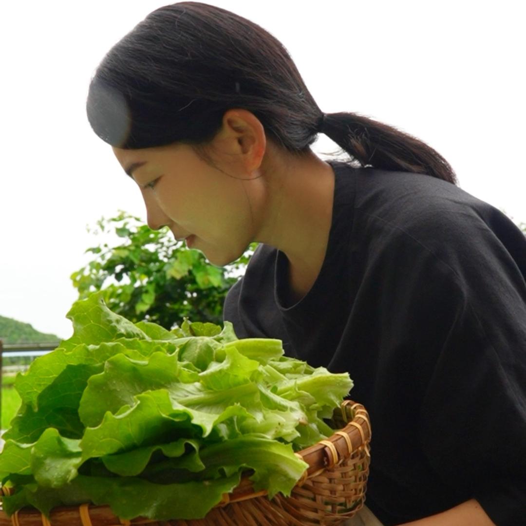 栗子熟了