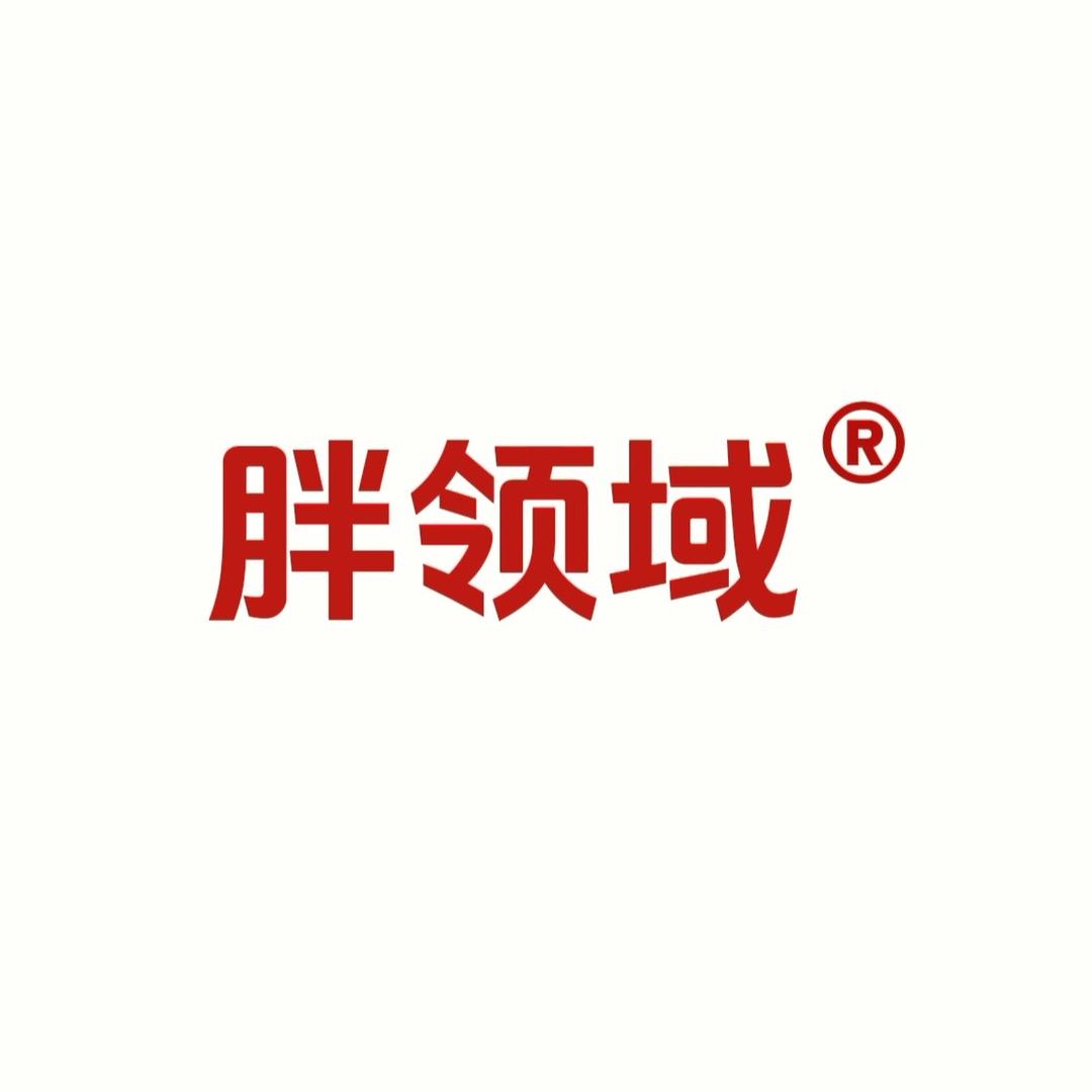 胖领域精品大码女装