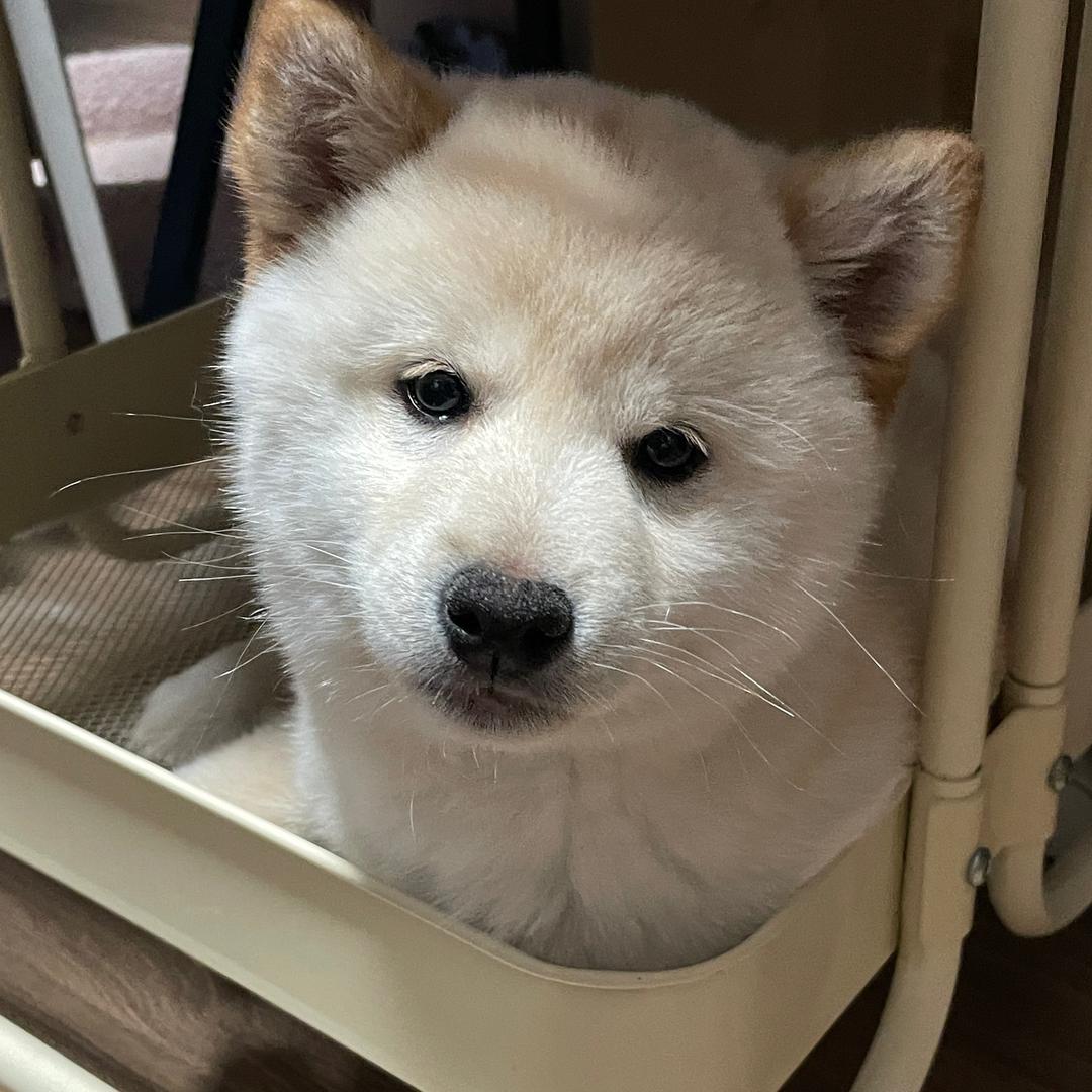 toasttoast🍞