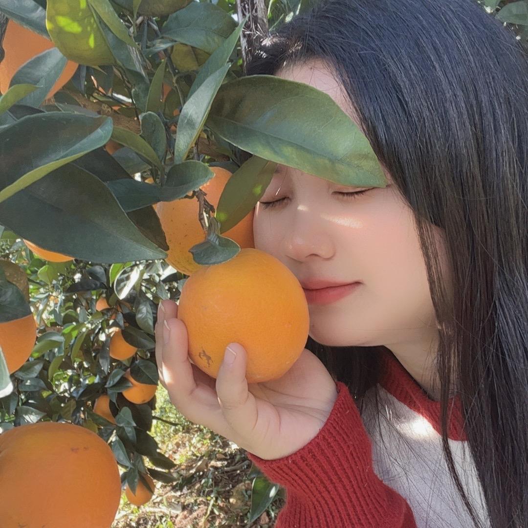 客家小燕