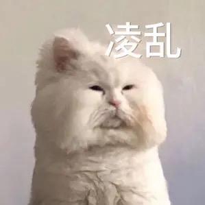 爱上螺蛳粉吼