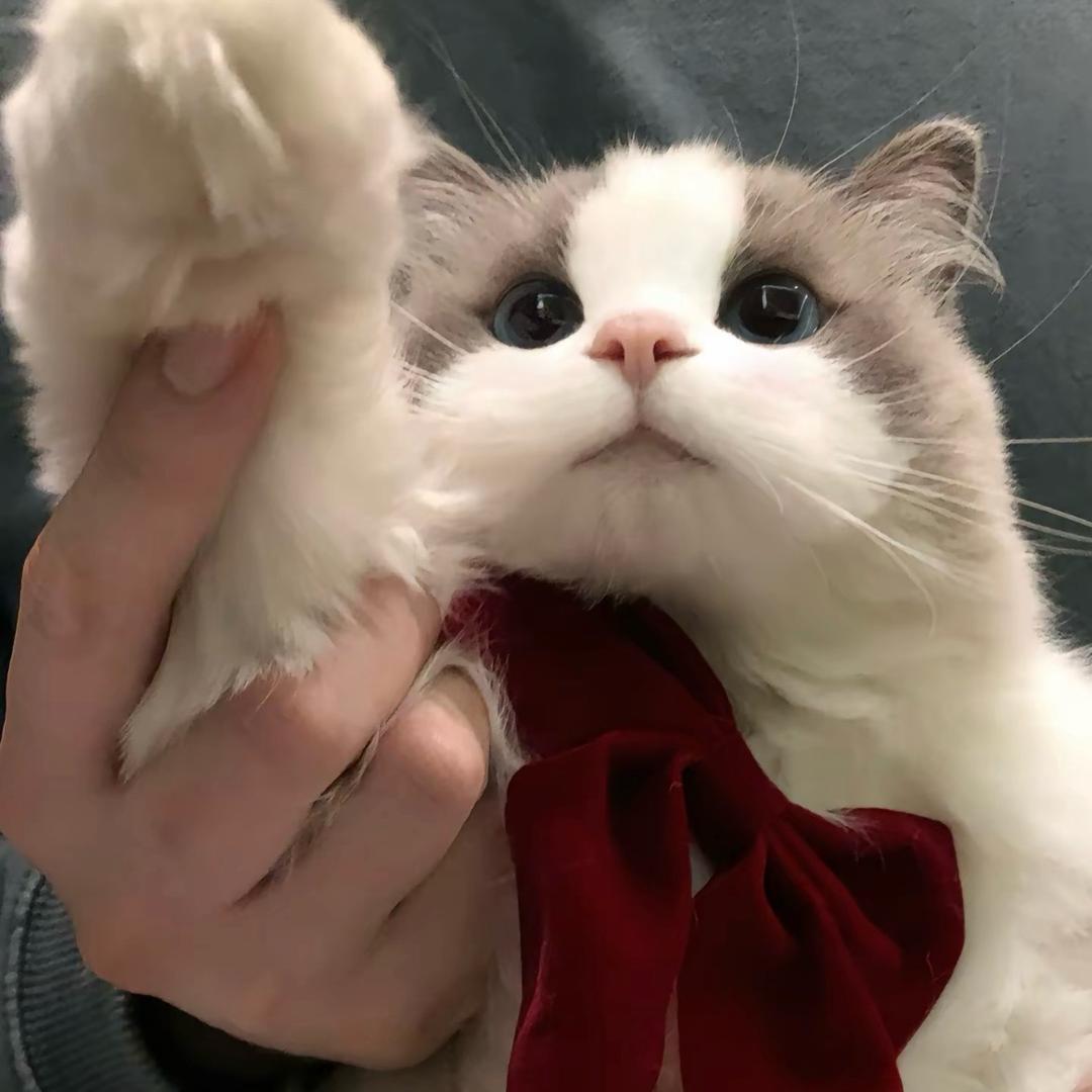 C .