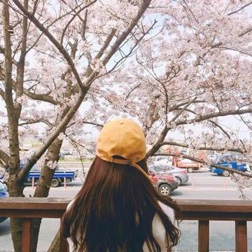 烨林精品车(专业 BBA）