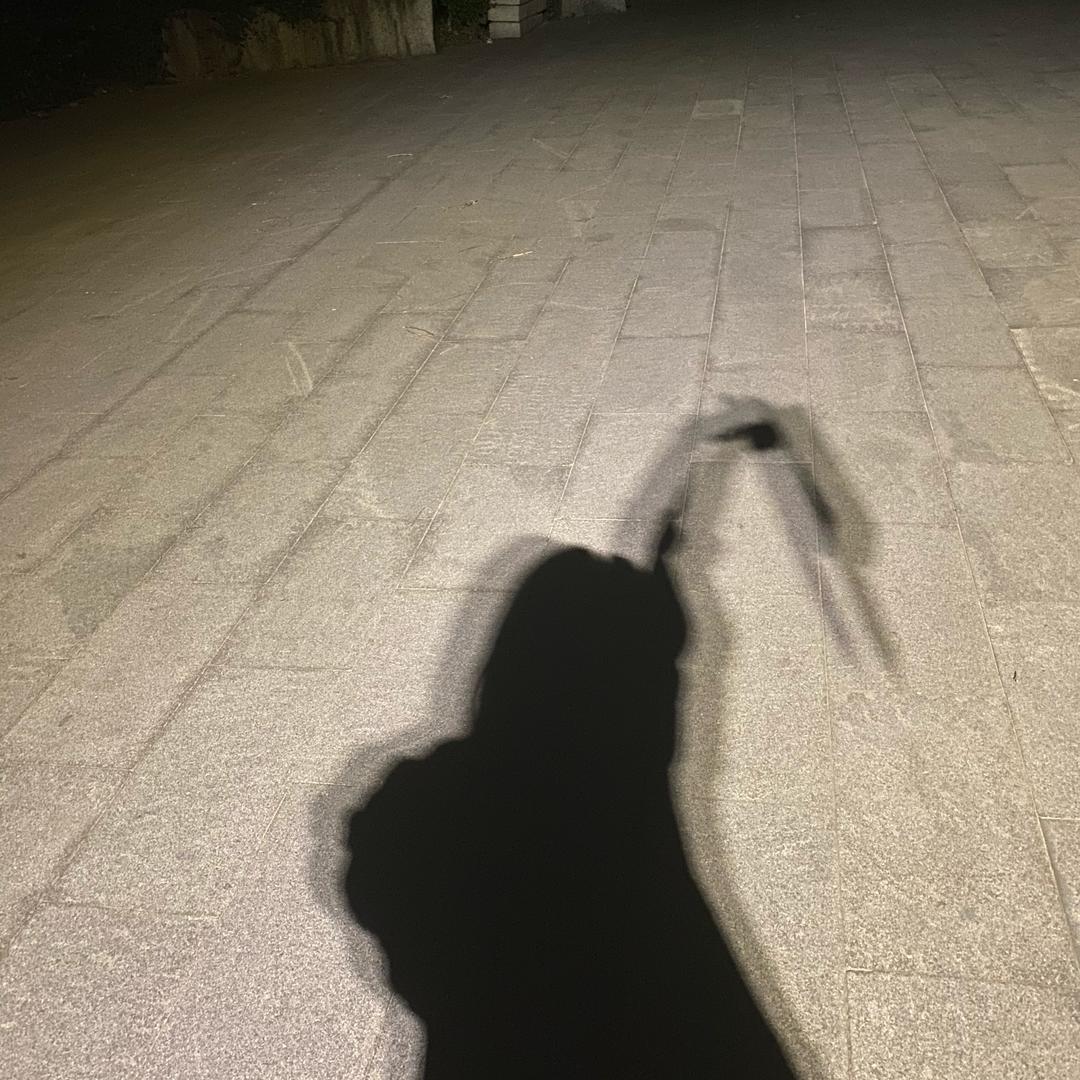 轶凝兮