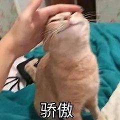 是远远酱🌤
