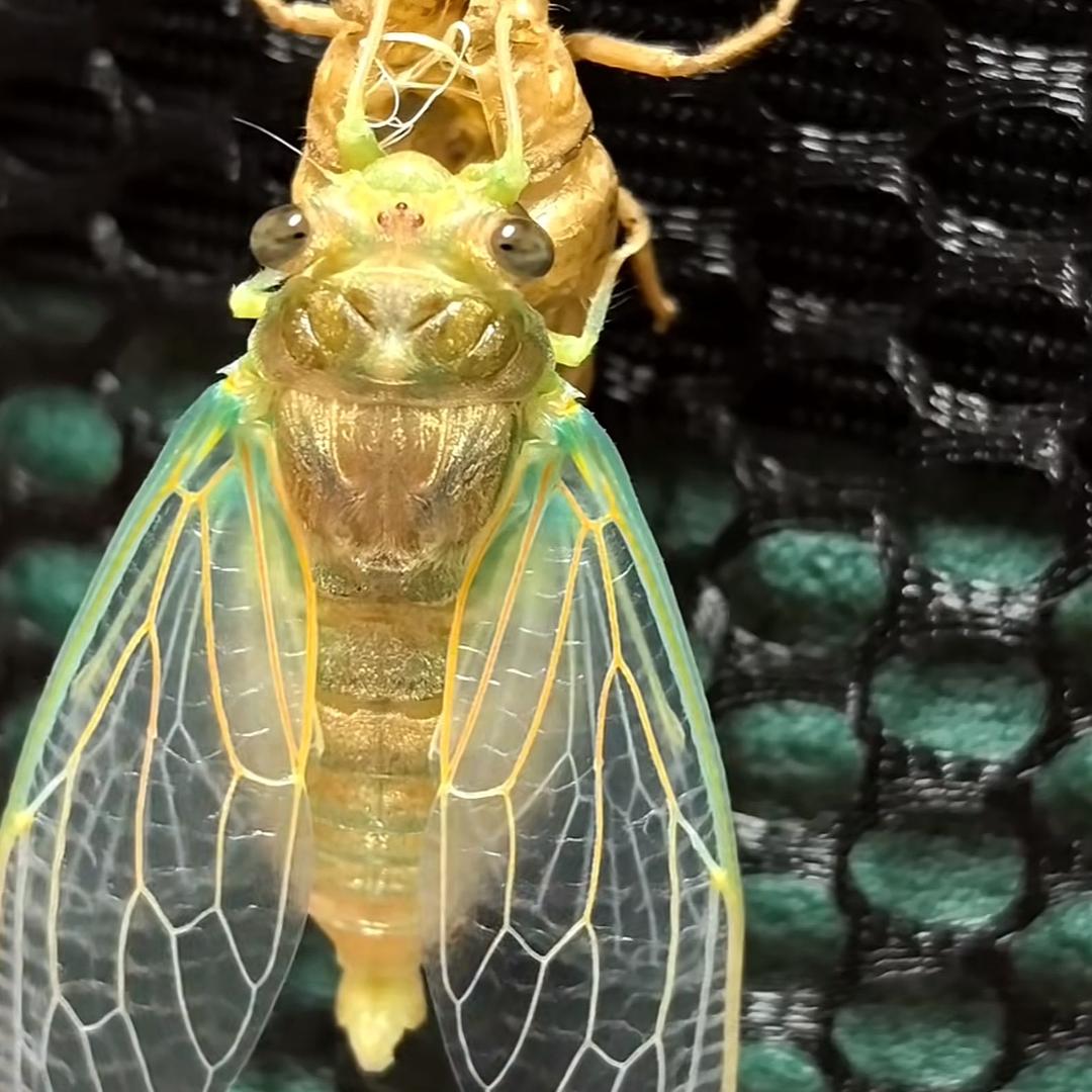 @🌈妖魔鬼怪快走开快走开🌈