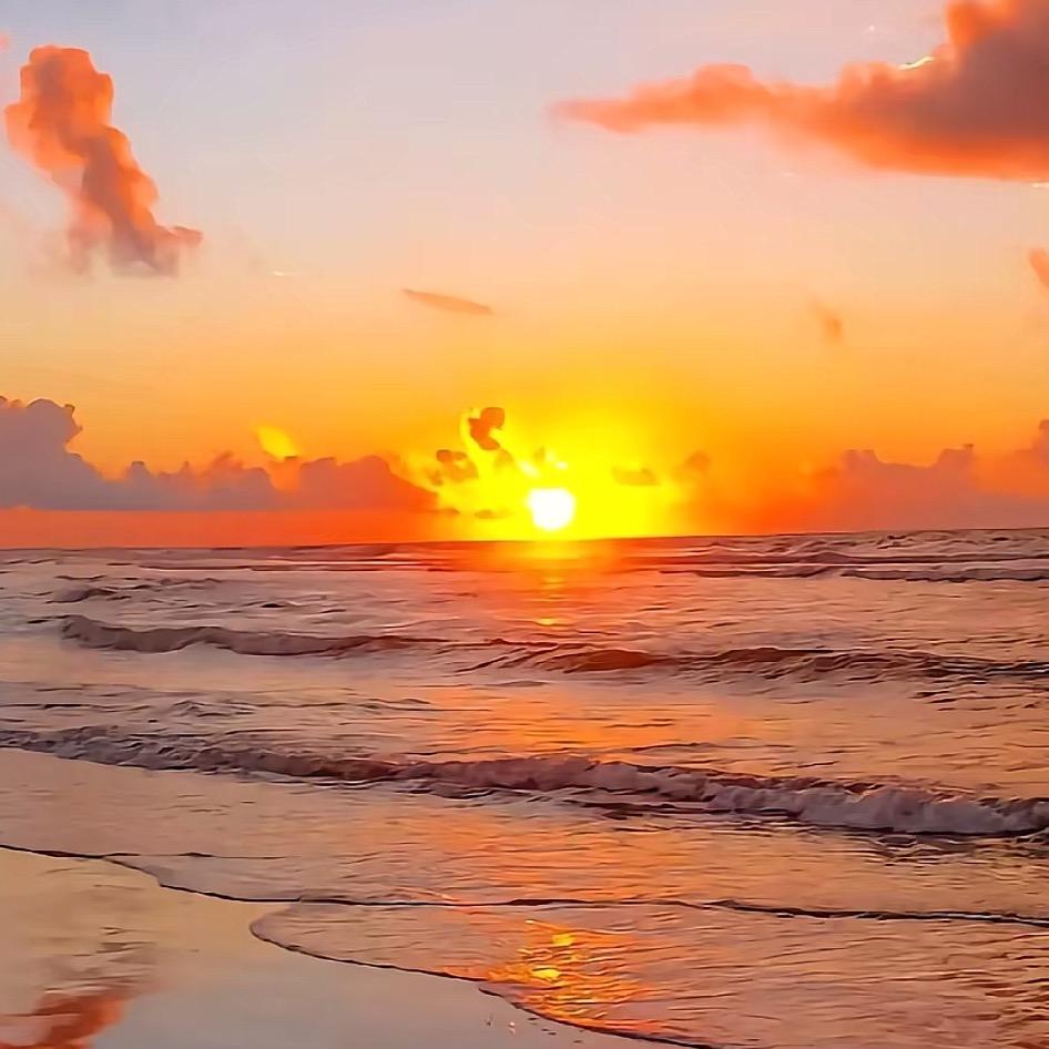 广州雨联商贸小沐宠粉号