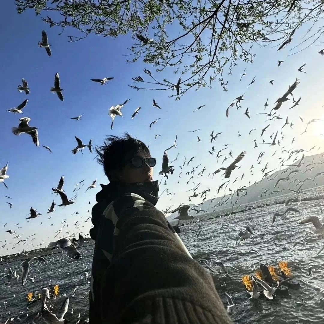 情绪稳定（不说脏话版）